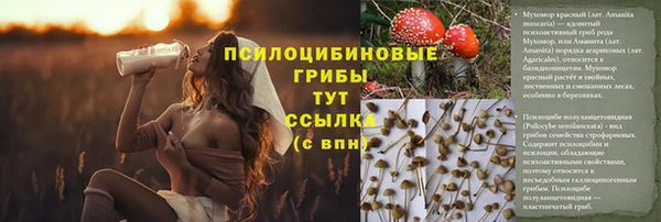 гашик Рославль