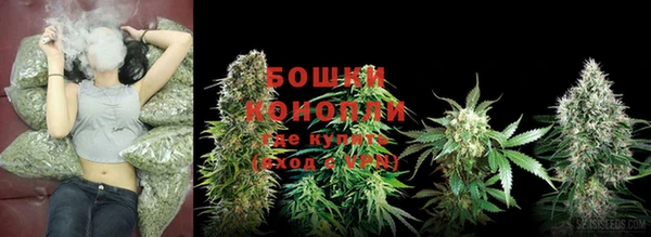 гашик Рославль