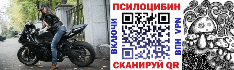 гидра ссылки  Бежецк  Галлюциногенные грибы мицелий  где купить  